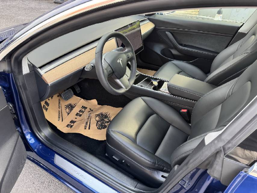Tesla Model 3 2020 imagem de carro #4