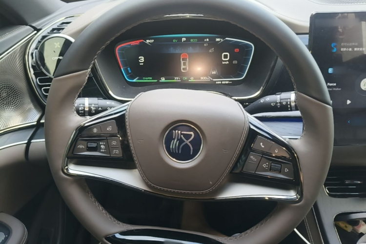 BYD Han 2023 imagen de coche #11