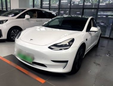 Tesla Model 3 2020 Tesla Model 3 2020 car image