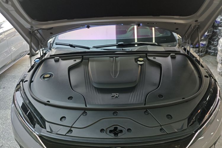 BYD Han 2024 car image #20
