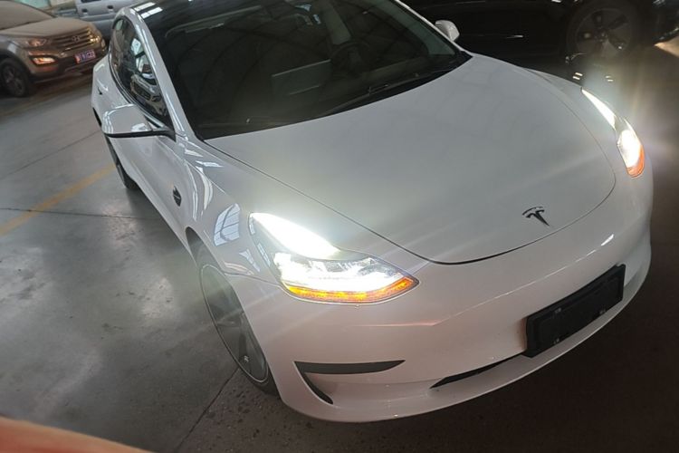 Tesla Model 3 2021 #6 Tesla Model 3 2021 car image #6