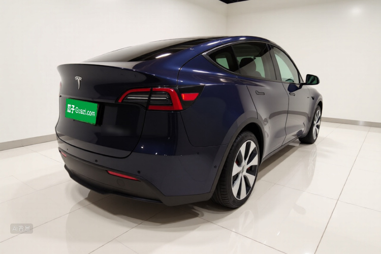 Tesla Model Y 2021 car image #7