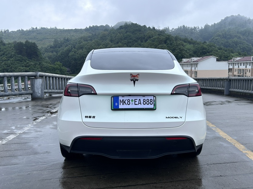 Tesla Model Y 2021 #17 Tesla Model Y 2021 car image #17
