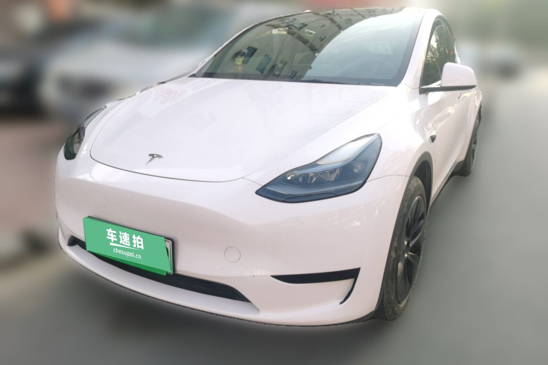 Tesla Model Y 2025 immagine di auto 