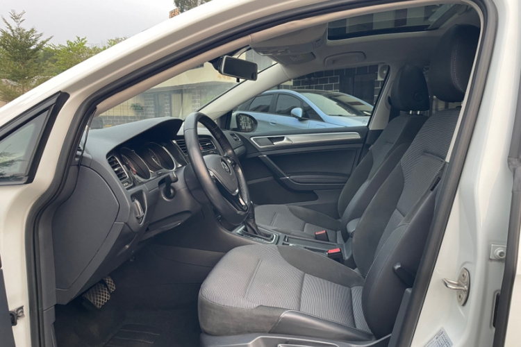 Volkswagen Golf 2019 car image #19