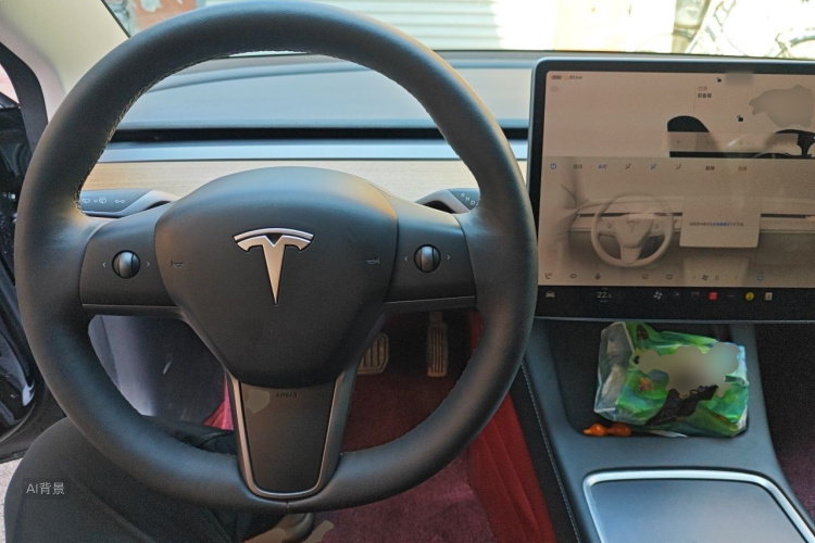 Tesla Model 3 2023 car image #11