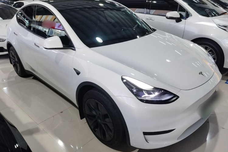 Tesla Model Y 2024 #6 Tesla Model Y 2024 car image #6