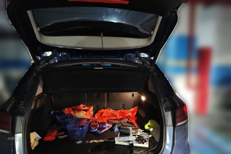BMW X1 2022 car image #21
