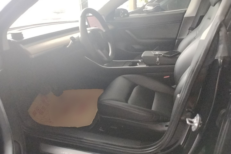 Tesla Model 3 2020 car image #19