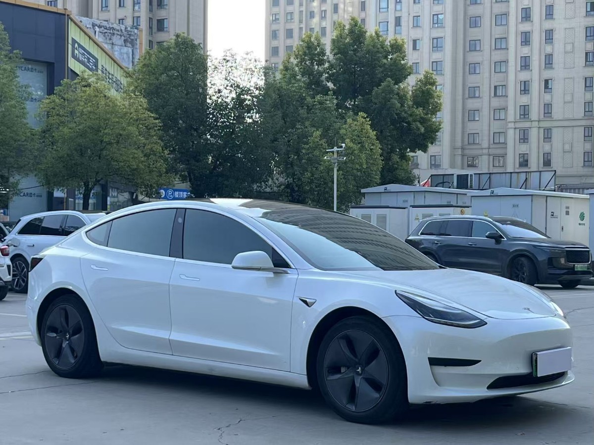 Tesla Model 3 2020 #3 Tesla Model 3 2020 car image #3