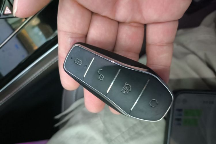 BYD Han 2023 #9 BYD Han 2023 immagine di auto #9