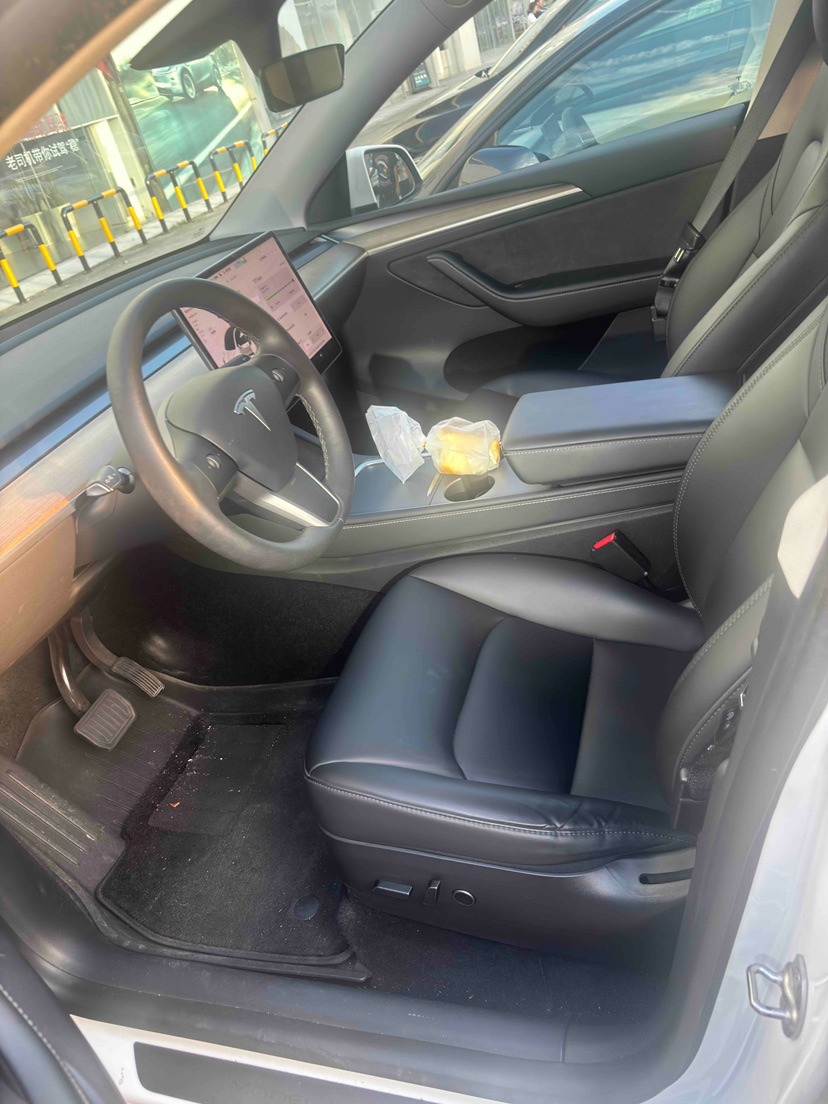 Tesla Model Y 2021 car image #3