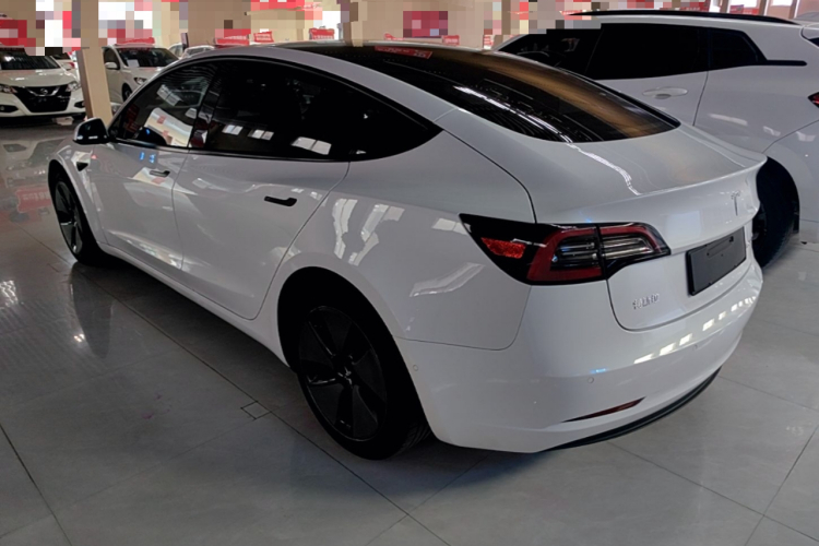 Tesla Model 3 2021 car image #7