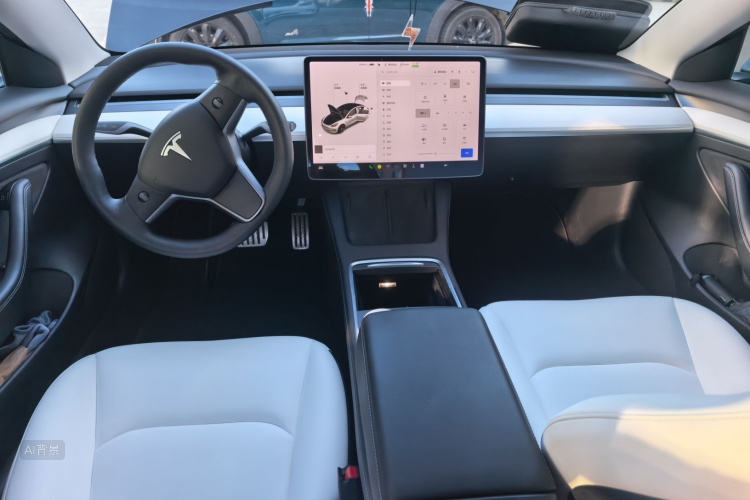 Tesla Model 3 2021 car image #11