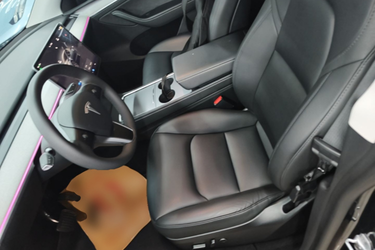 Tesla Model Y 2024 car image #15