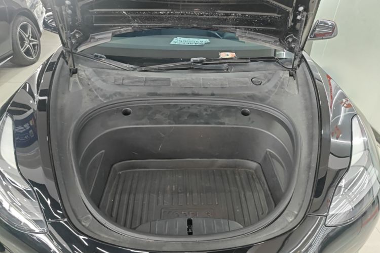 Tesla Model 3 2021 #22 Tesla Model 3 2021 car image #22