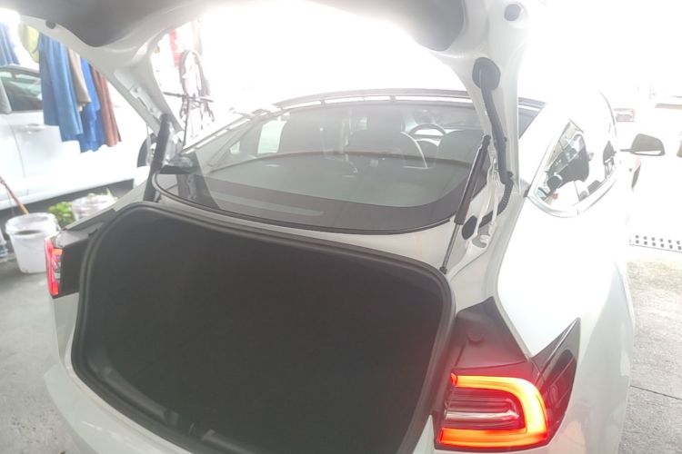 Tesla Model 3 2021 car image #19