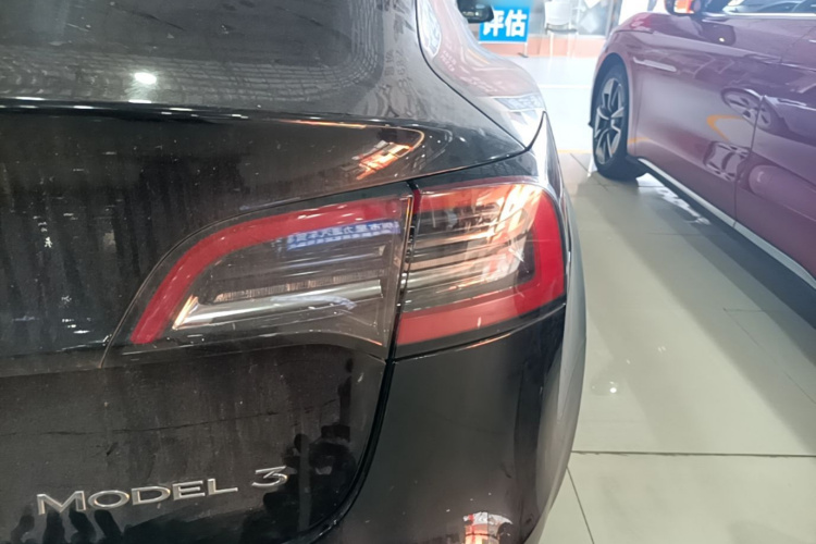 Tesla Model 3 2021 #8 Tesla Model 3 2021 car image #8
