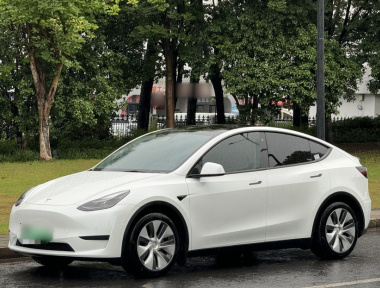 Tesla Model Y 2022 Tesla Model Y 2022 car image