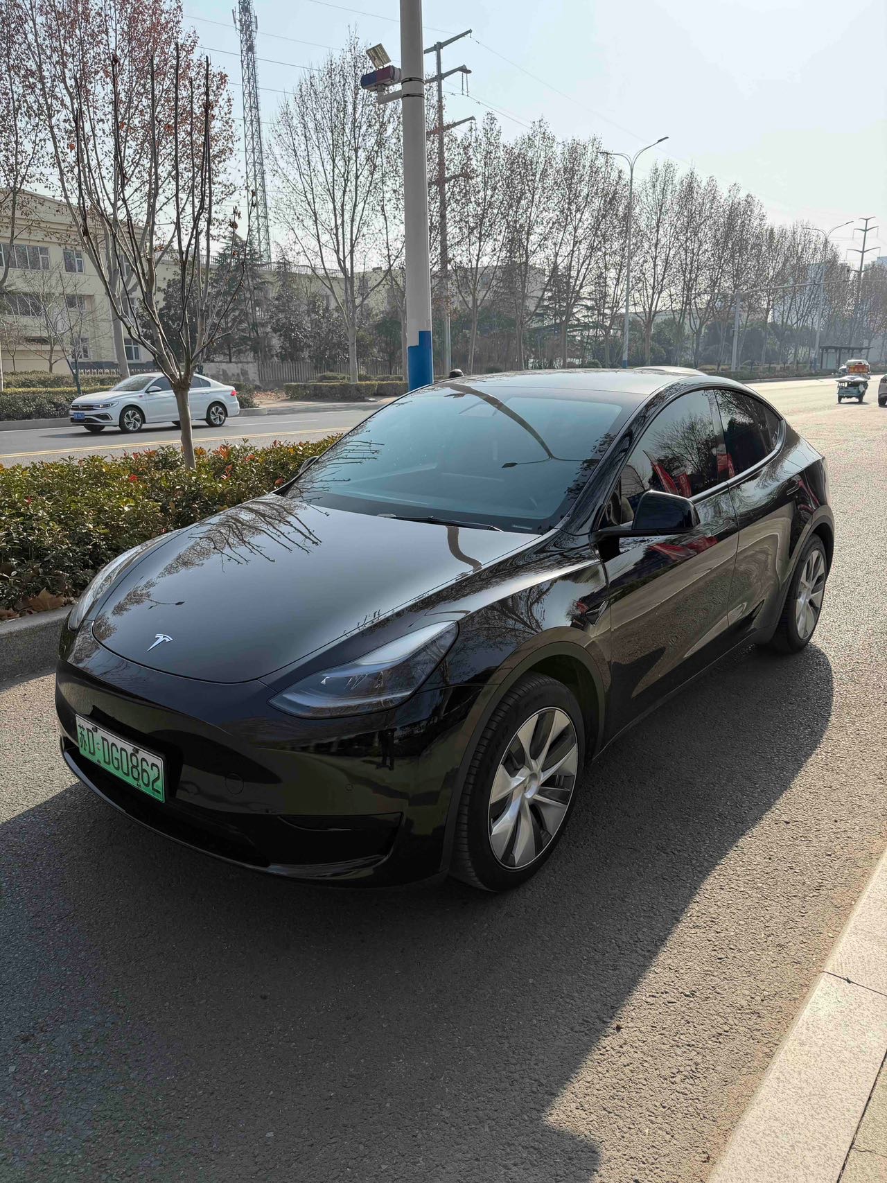 Tesla Model Y 2023 Tesla Model Y 2023 car image