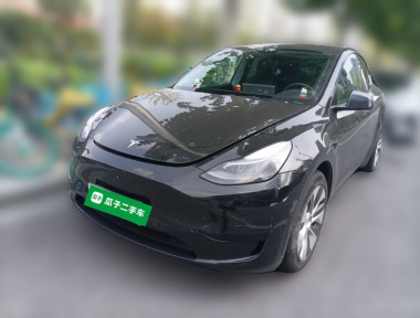 Tesla Model Y 2023 Tesla Model Y 2023 car image