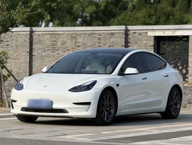 Tesla Model 3 2023 Tesla Model 3 2023 car image
