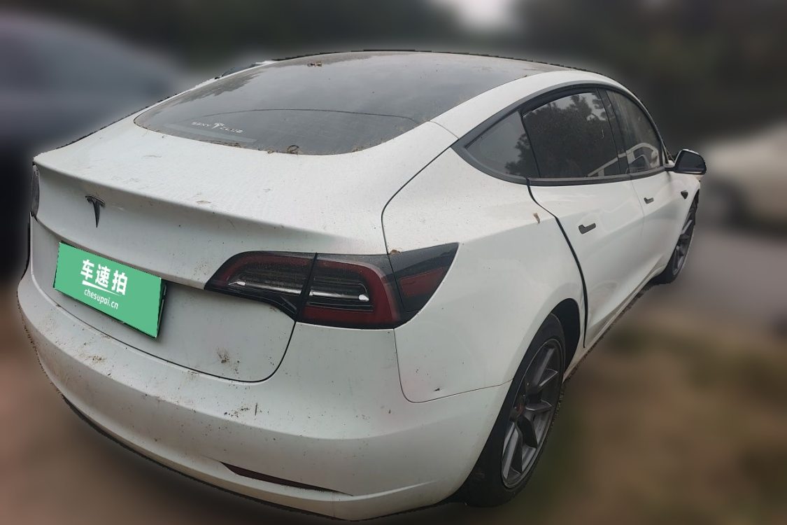 Tesla Model 3 2021 car image #4