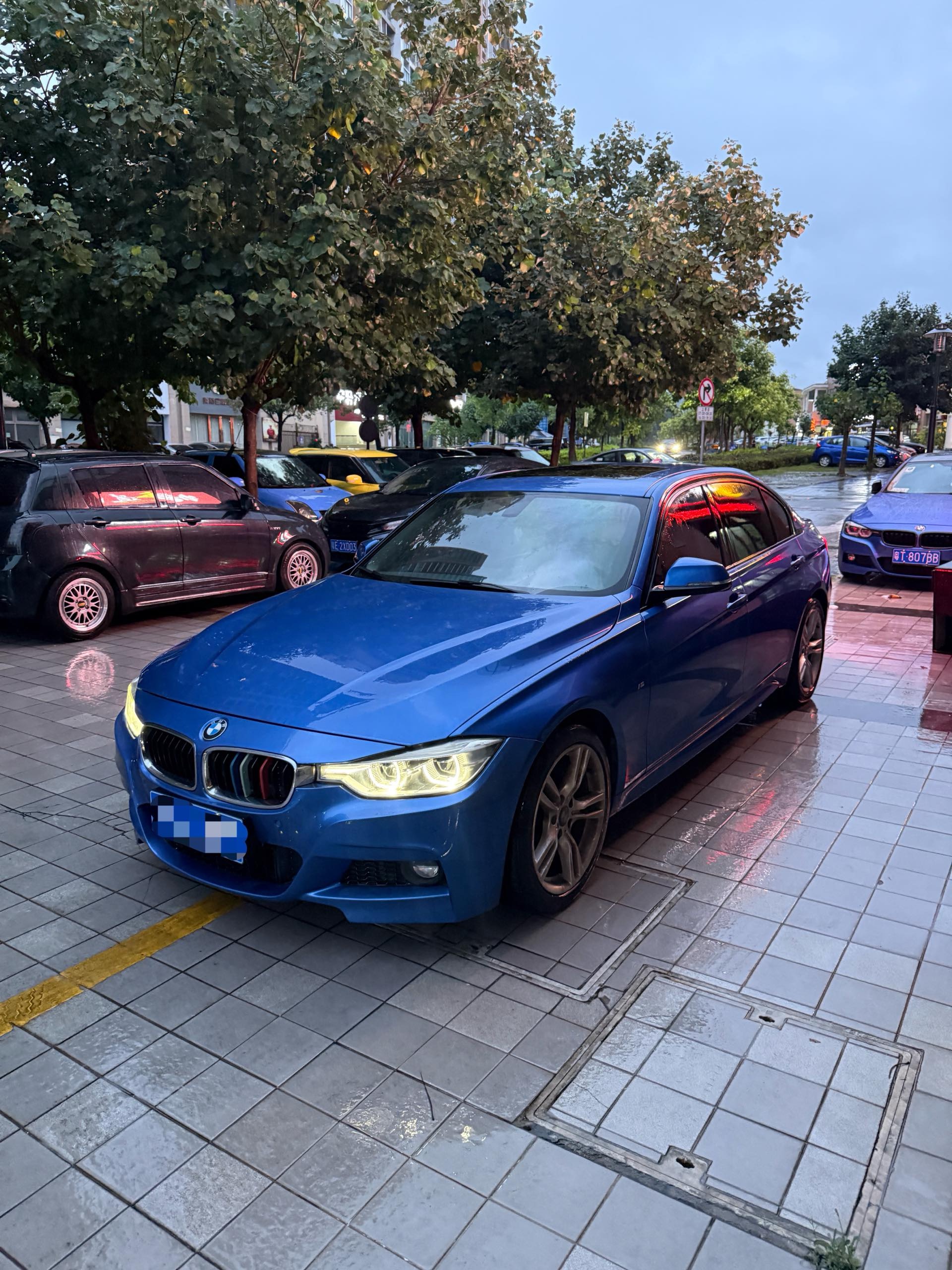 BMW 3 Series 2017 BMW 3 Series 2017 car image