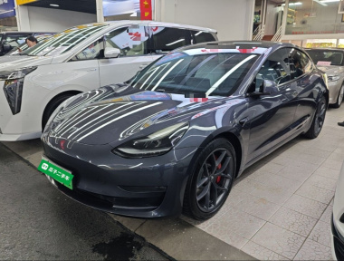 Tesla Model 3 2021 car image 