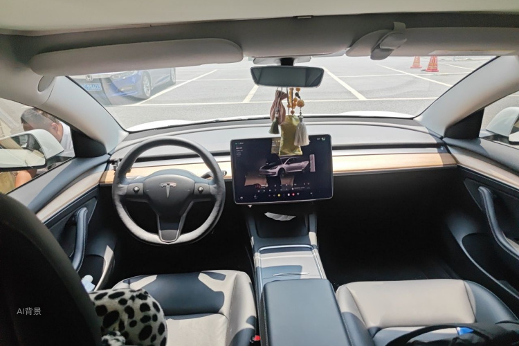 Tesla Model 3 2022 car image #11