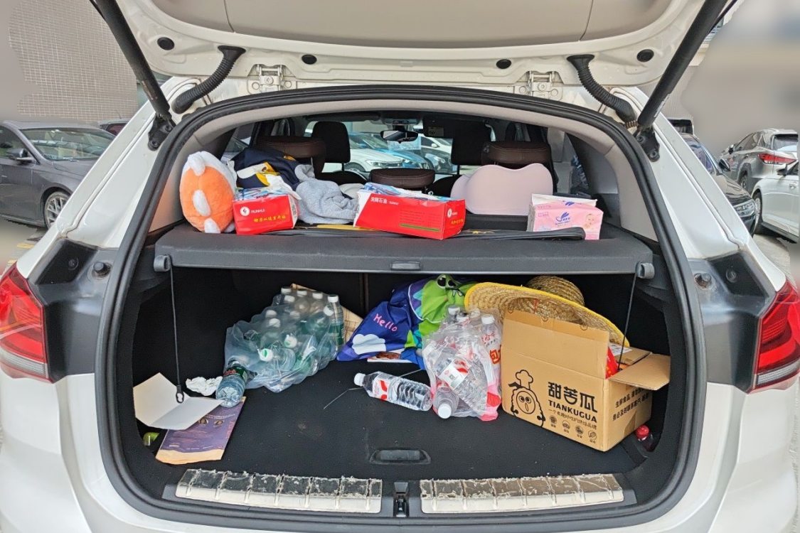 BMW X1 2020 car image #8