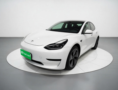 Tesla Model 3 2021 Tesla Model 3 2021 car image