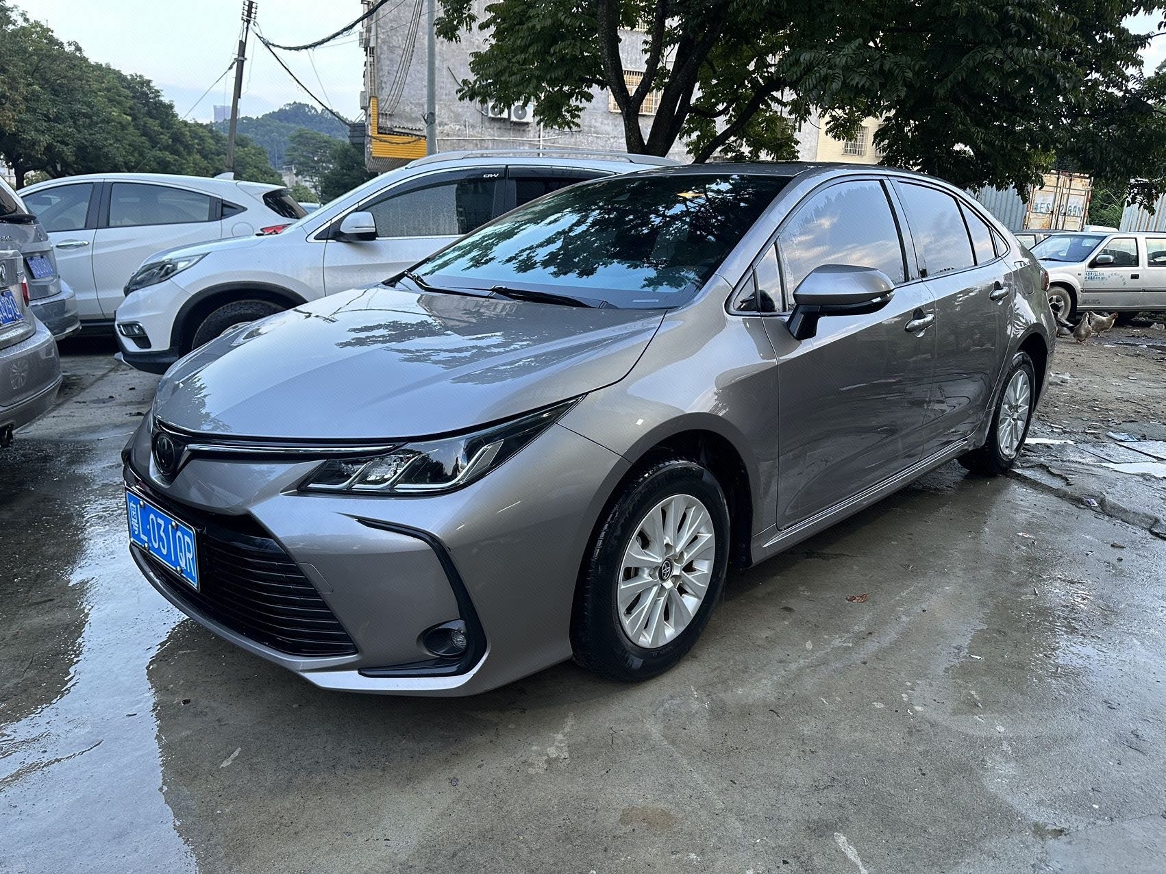 Toyota Corolla 2021 Toyota Corolla 2021 car image