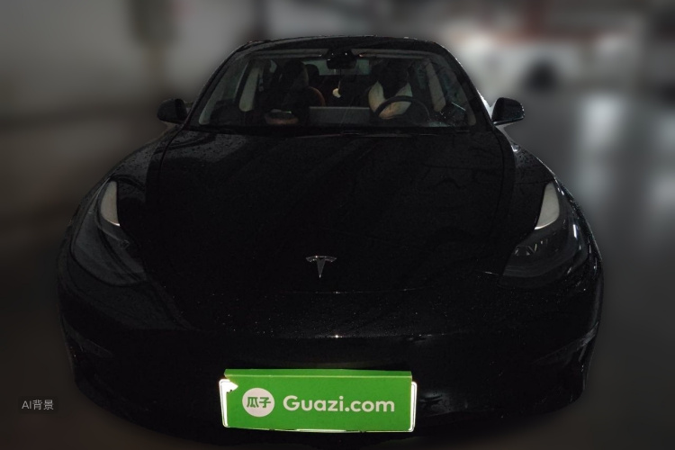 Tesla Model 3 2022 #3 Tesla Model 3 2022 car image #3