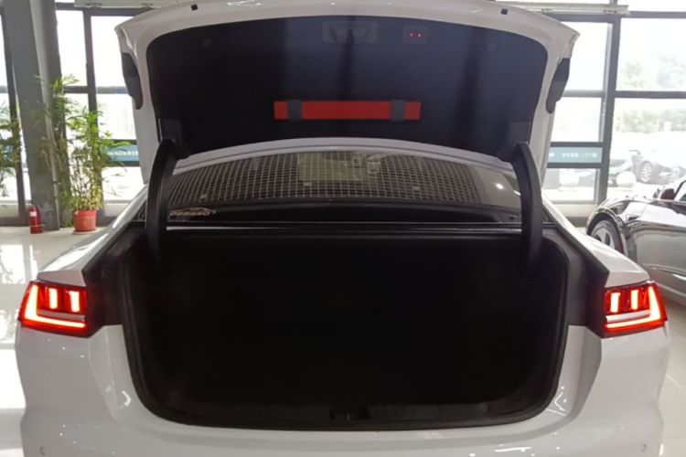 BYD Han 2022 immagine di auto #19