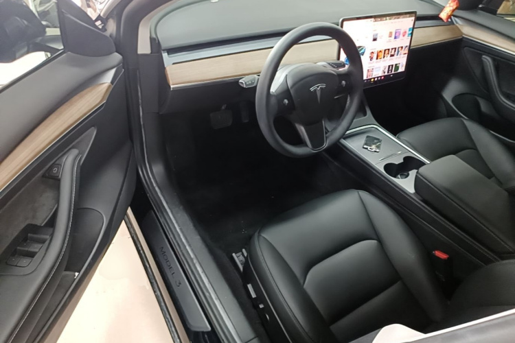 Tesla Model 3 2021 car image #16