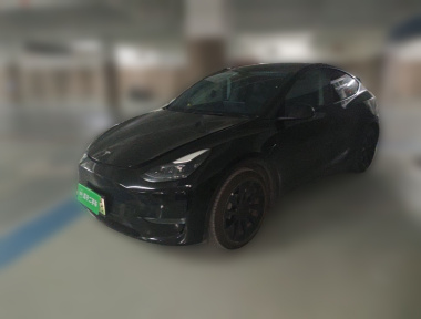 Tesla Model Y 2021 car image 