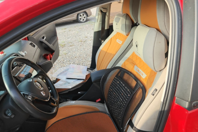 Volkswagen Polo 2018 car image #15