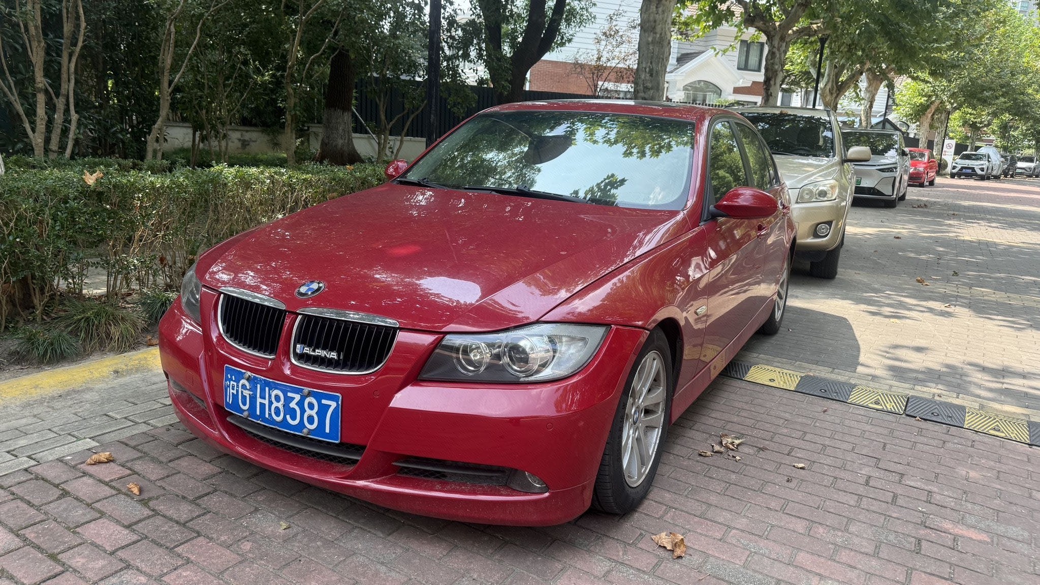 BMW 3 Series 2008 BMW 3 Series 2008 immagine di auto