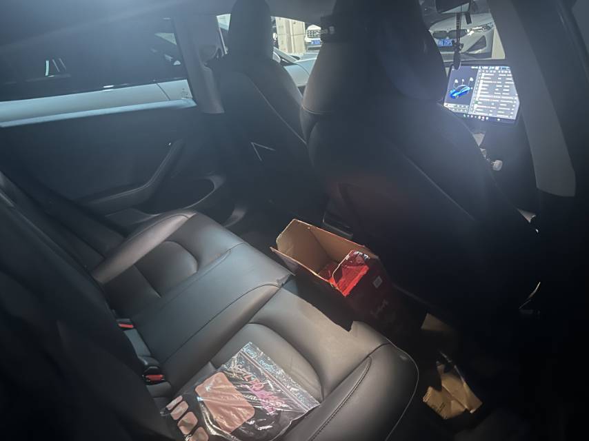 Tesla Model 3 2021 #6 Tesla Model 3 2021 car image #6