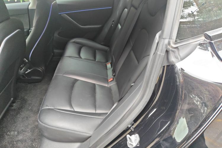 Tesla Model 3 2022 car image #19