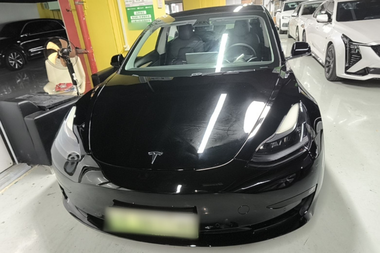 Tesla Model 3 2021 #3 Tesla Model 3 2021 car image #3