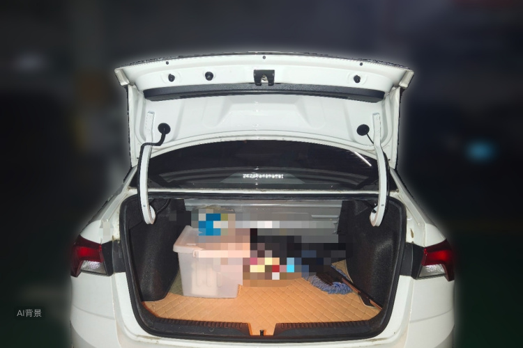Skoda Rapid 2021 car image #21