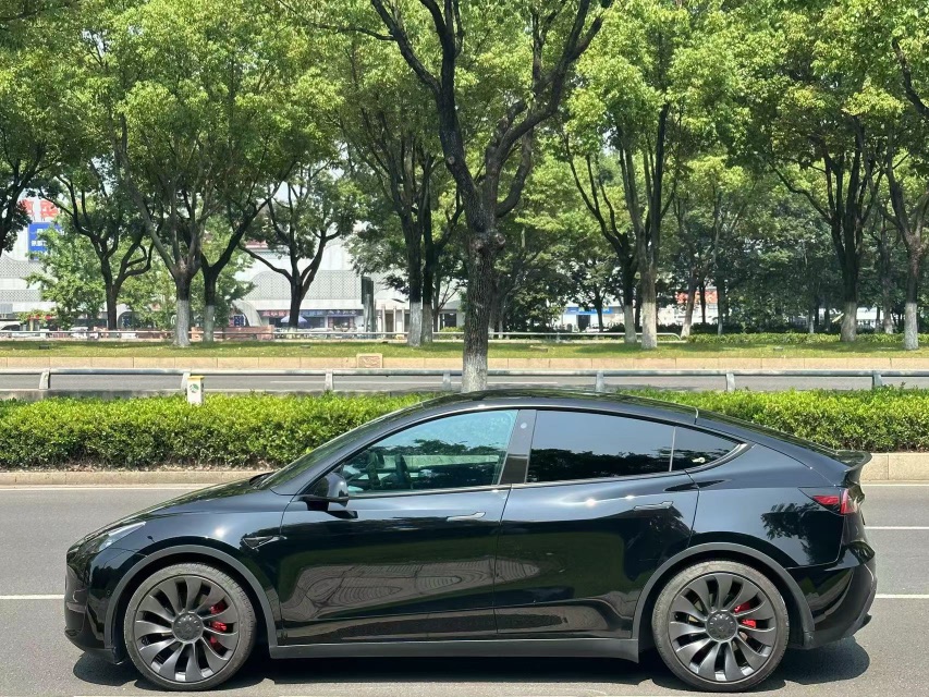 Tesla Model Y 2023 #3 Tesla Model Y 2023 car image #3