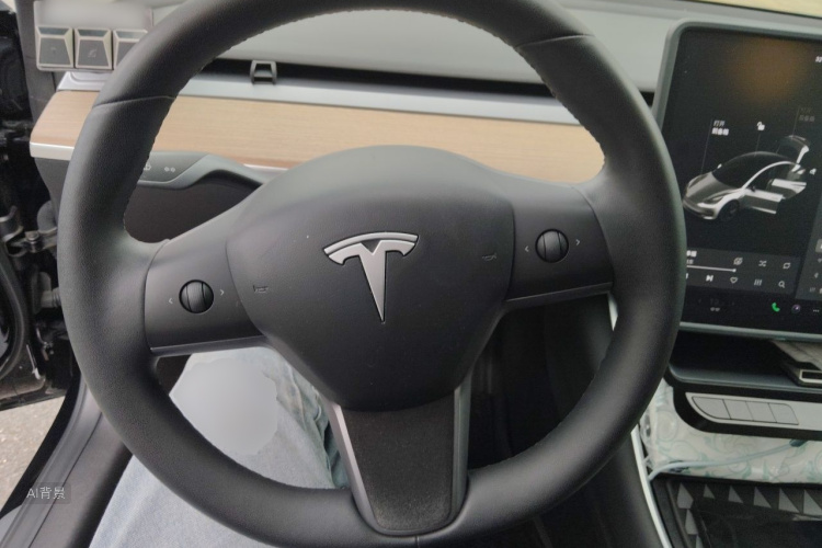 Tesla Model 3 2020 car image #12