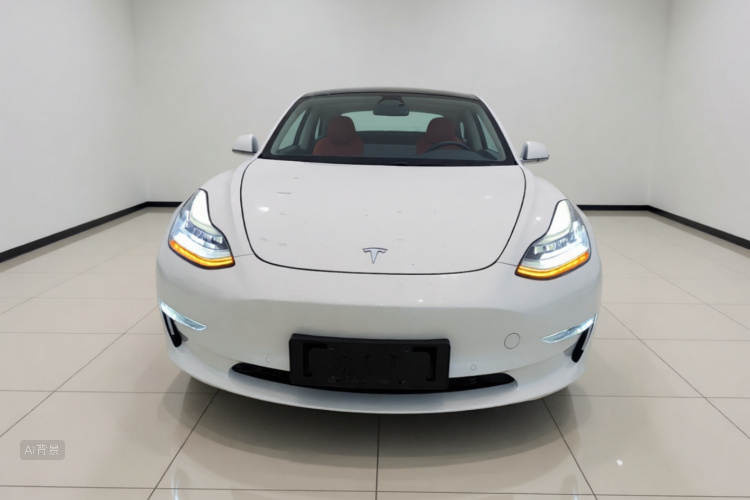 Tesla Model 3 2020 #3 Tesla Model 3 2020 car image #3