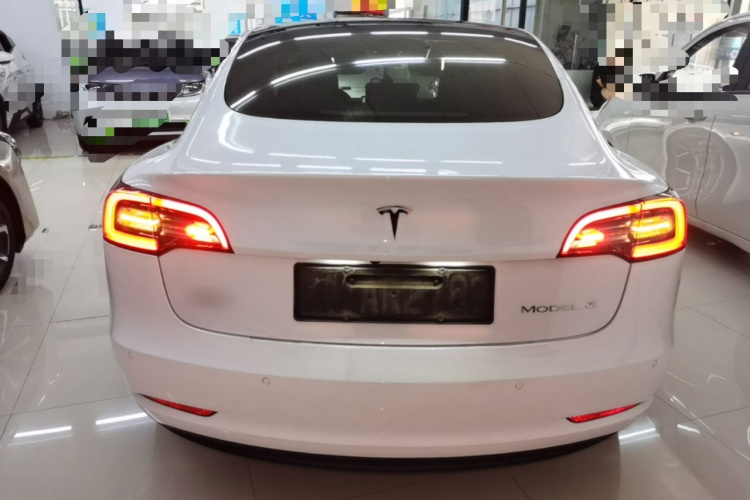 Tesla Model 3 2021 car image #6