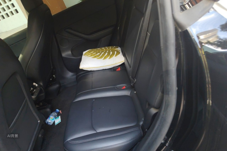 Tesla Model Y 2023 car image #19