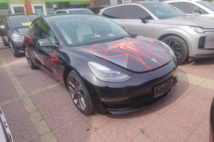 Tesla Model 3 2021 #4 Tesla Model 3 2021 car image #4