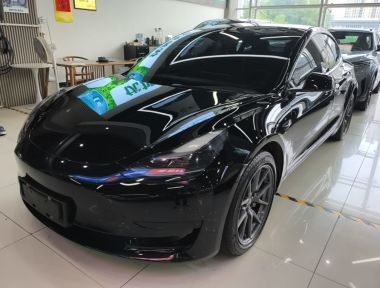 Tesla Model 3 2022 Tesla Model 3 2022 car image